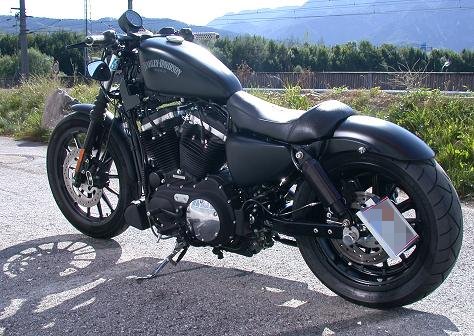 Harley Davidson Iron XL883N 